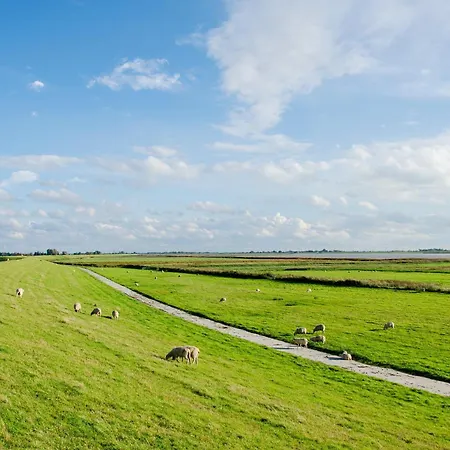 Swaalvkenuest * Moormerland